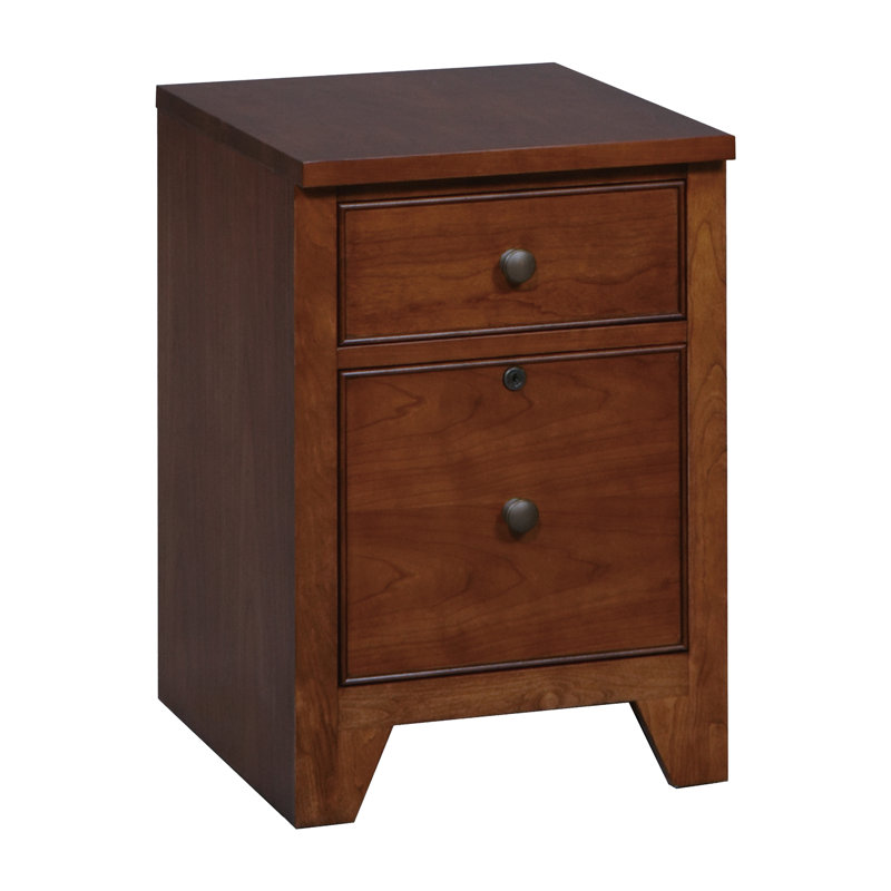 Lark Manor Knisely 2 Drawer Vertical Filing Cabinet Reviews Wayfair